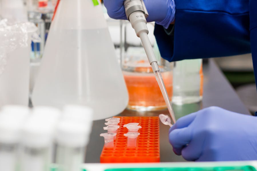 Podstawowe badania laboratoryjne – jakie i kiedy warto je zrobić?